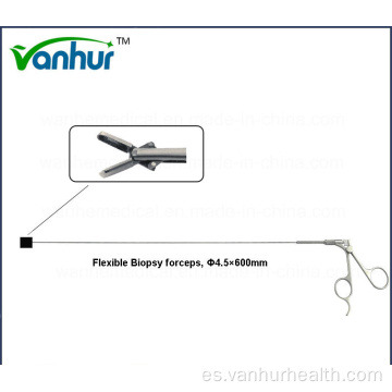 Ureterorrenoscopia Instrumentos de urología Pinzas de biopsia flexibles